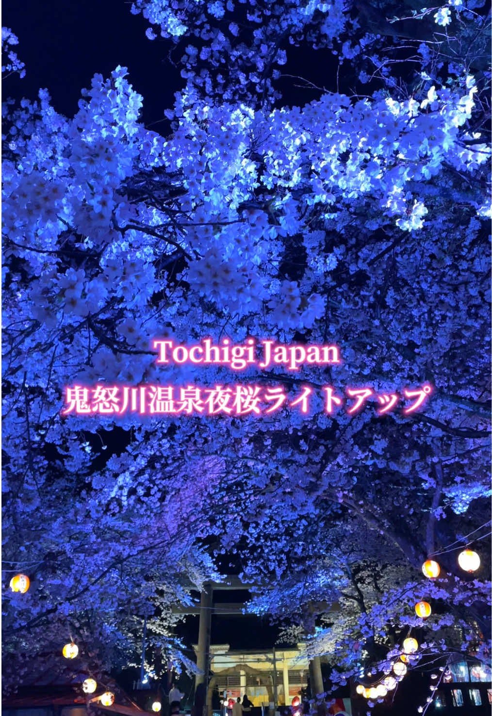 @paぱぱすtyle