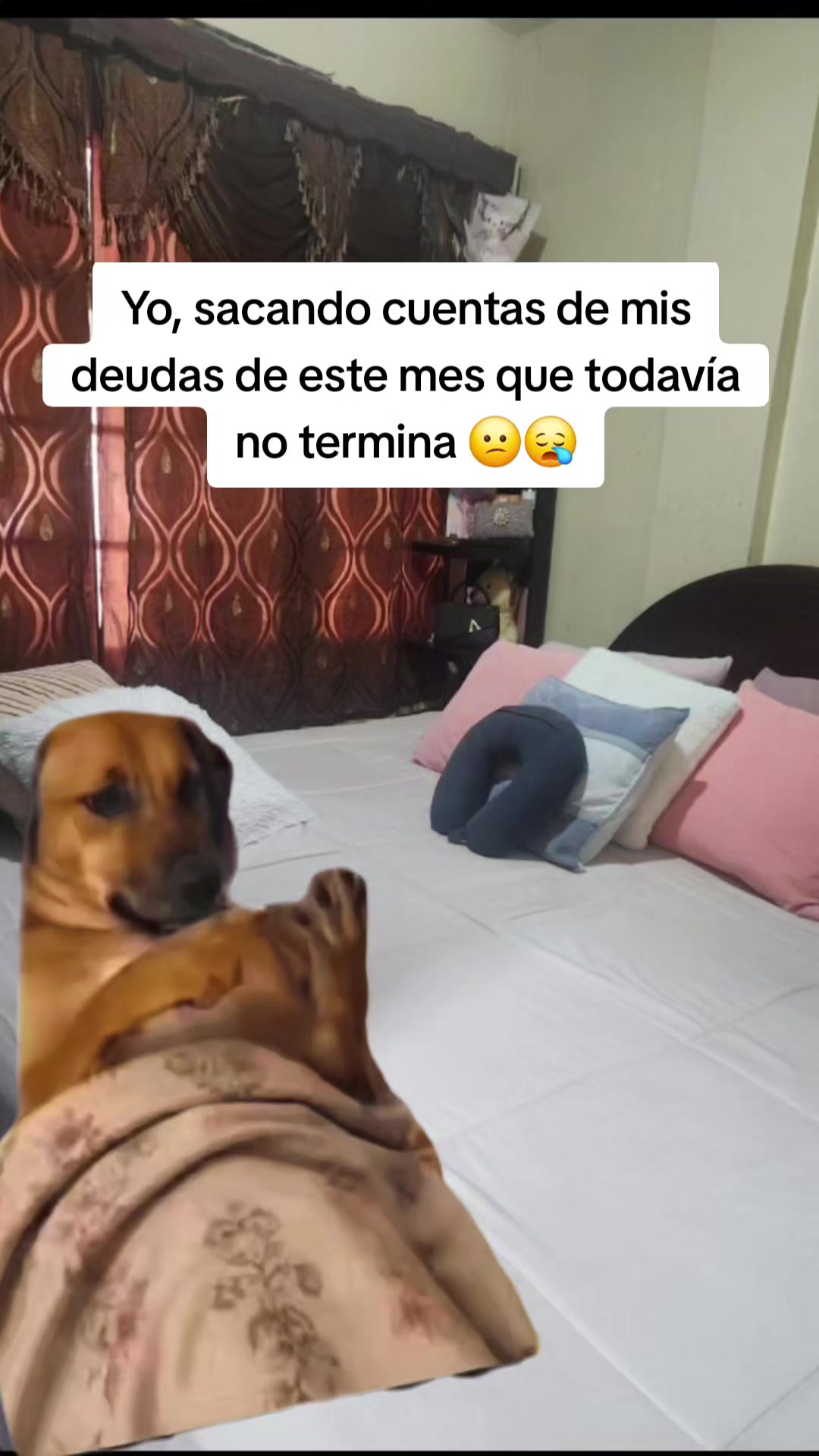 @Misinguita Cárdenas 😻
