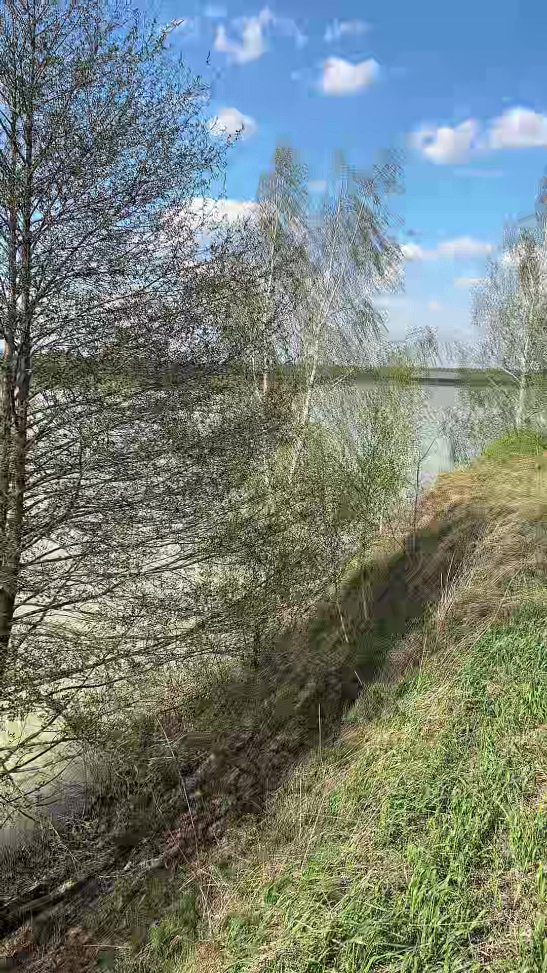 @Алексей Леленков
