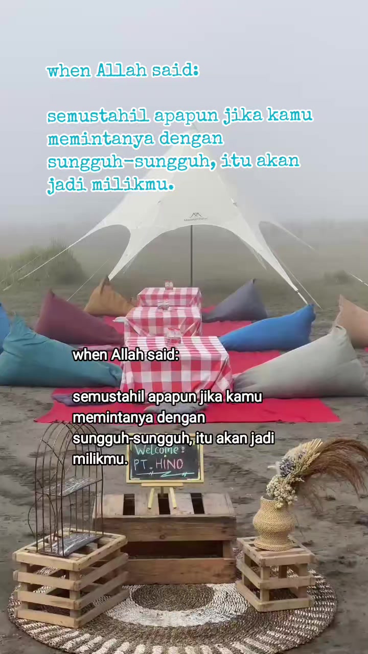 @transbromo
