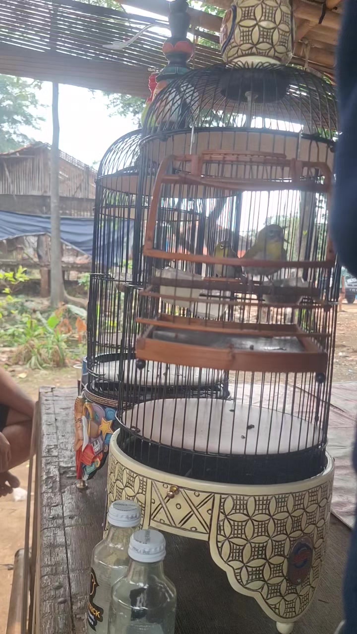 @totalbukpar