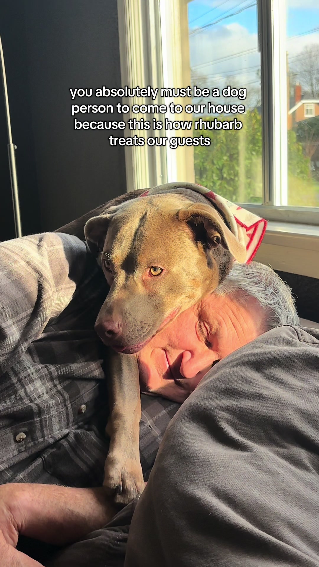 @rhubarb the doggo