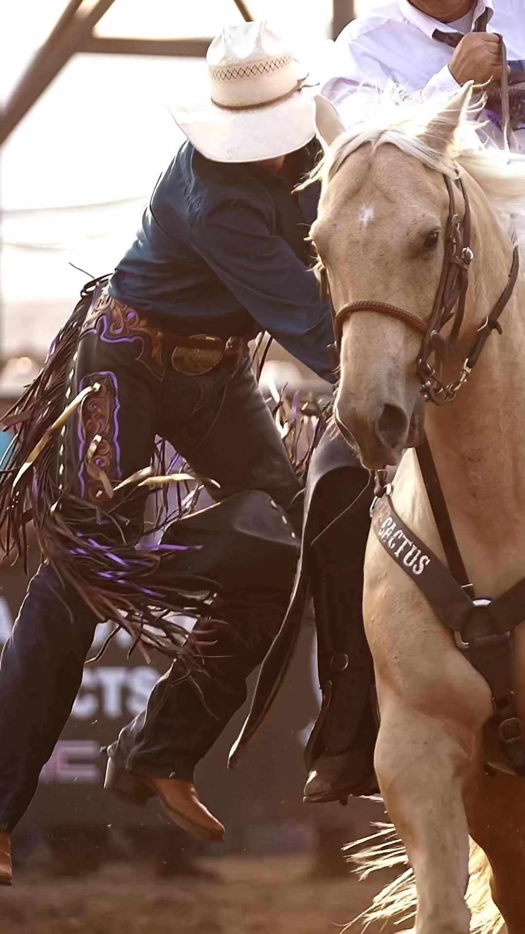 @Hanginghorses