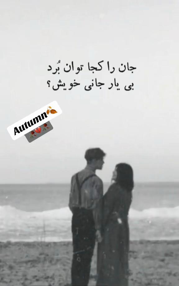 @autumn_1207