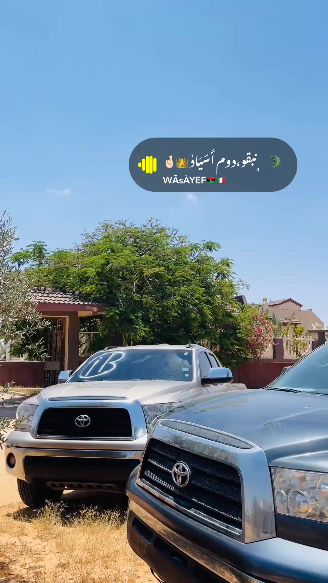 @sayh alwany