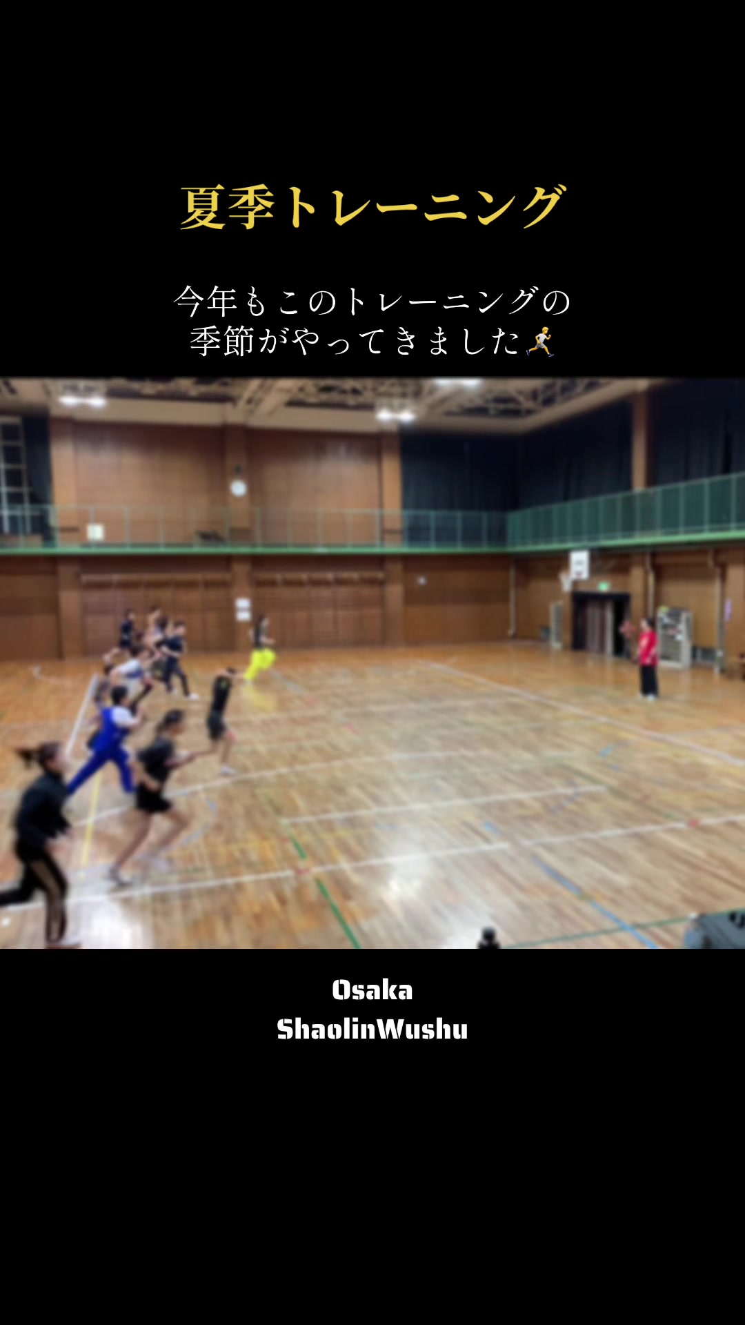@日本少林武術連盟(JSWF)