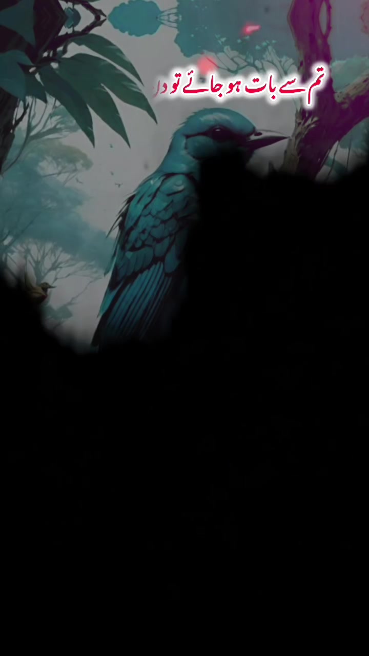 @𝐁𝐊𝐖𝐑𝐈𝐓𝐄𝐒 🫶🌹🦜