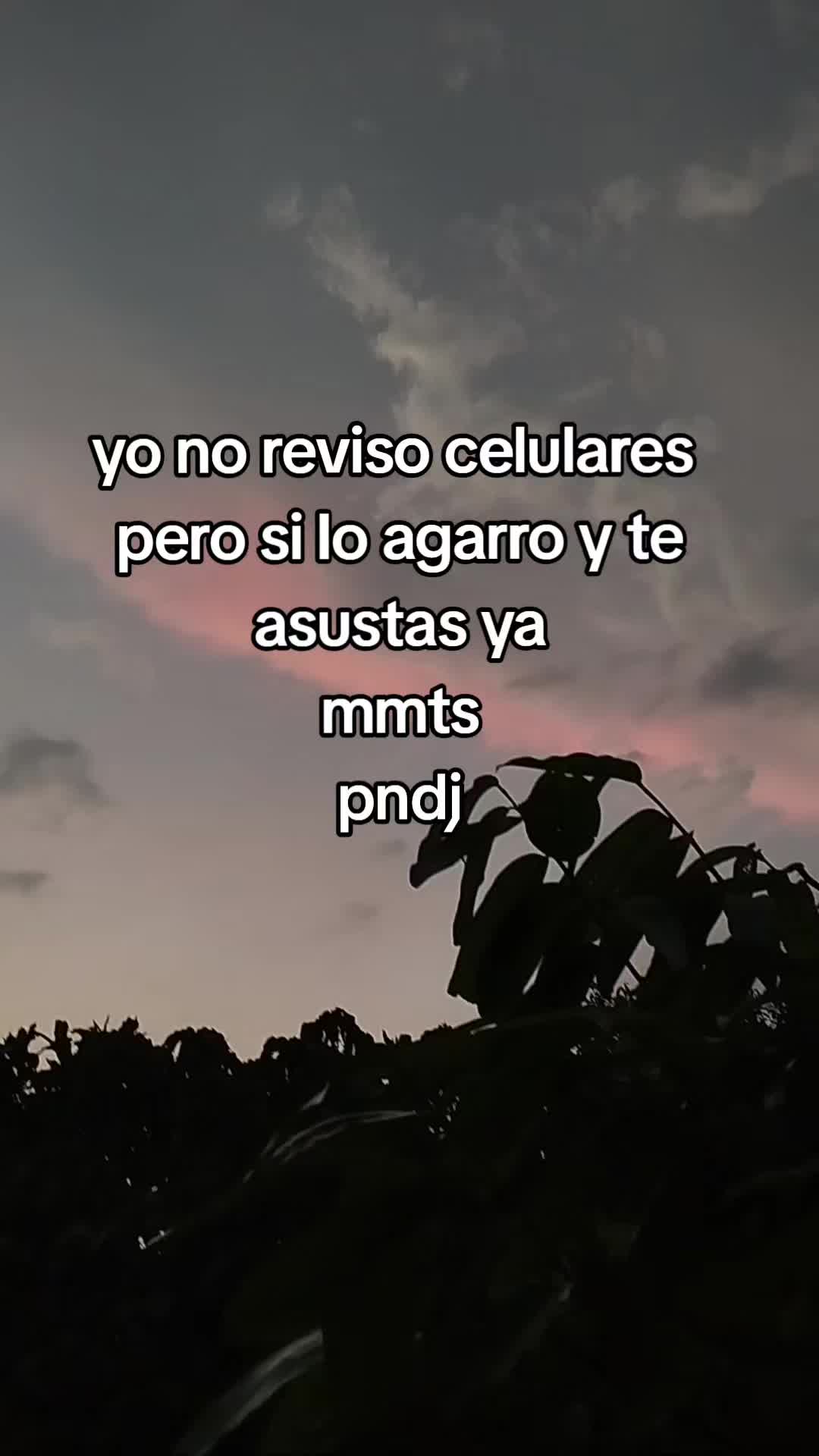 @๐ค๐MÃR ๐โจ