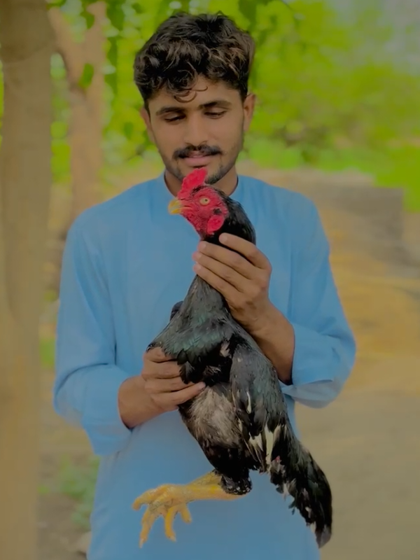 @Ali Nahra