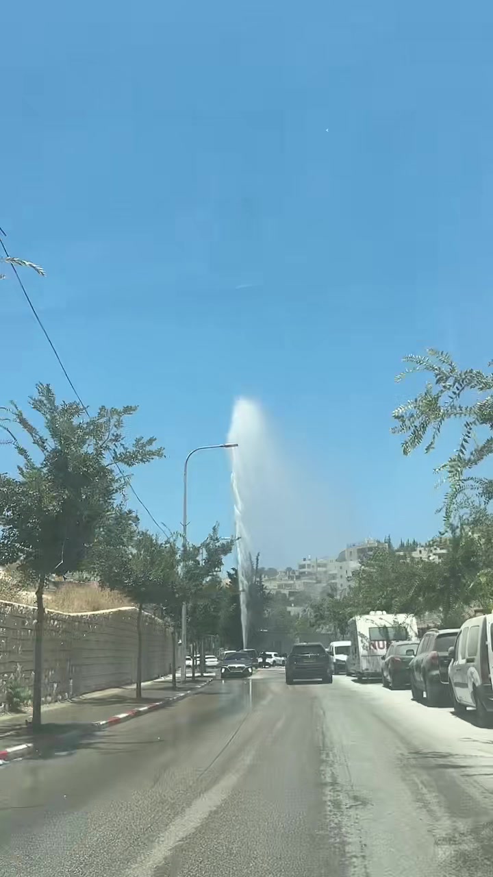 @المقص الملكي الماستر محمد بشير