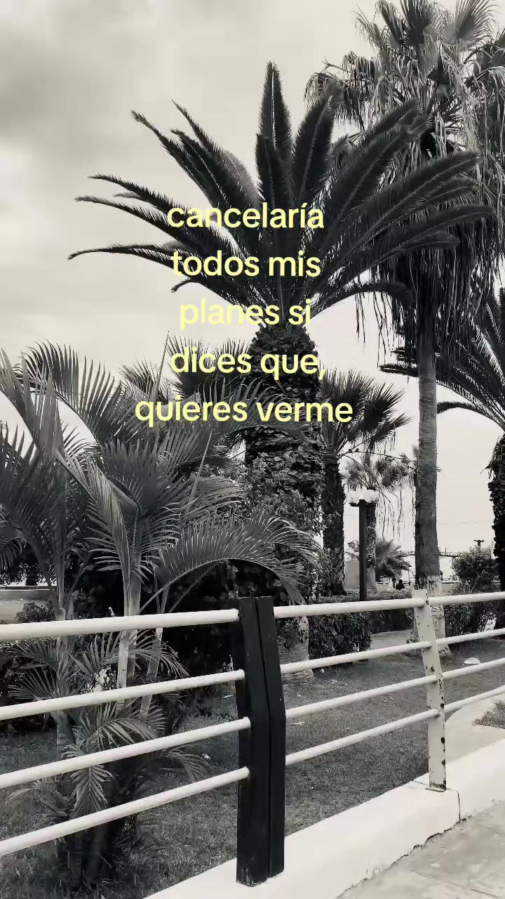 @Cuenta no encontrada
