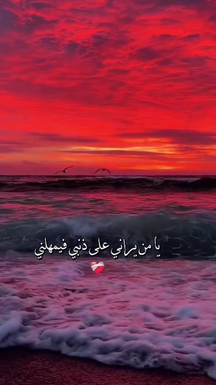 @“نور يهدي القلوب