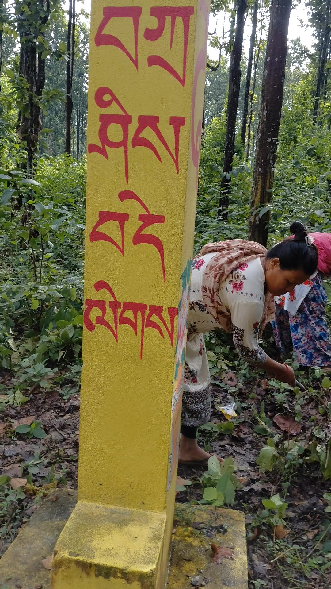 @👑 रतन लो tamang