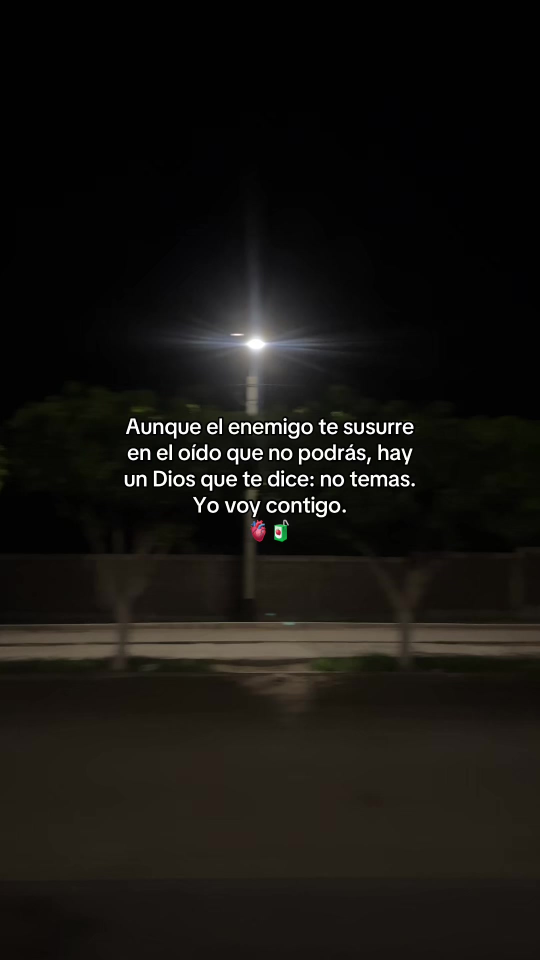 @Gatocix 🐱