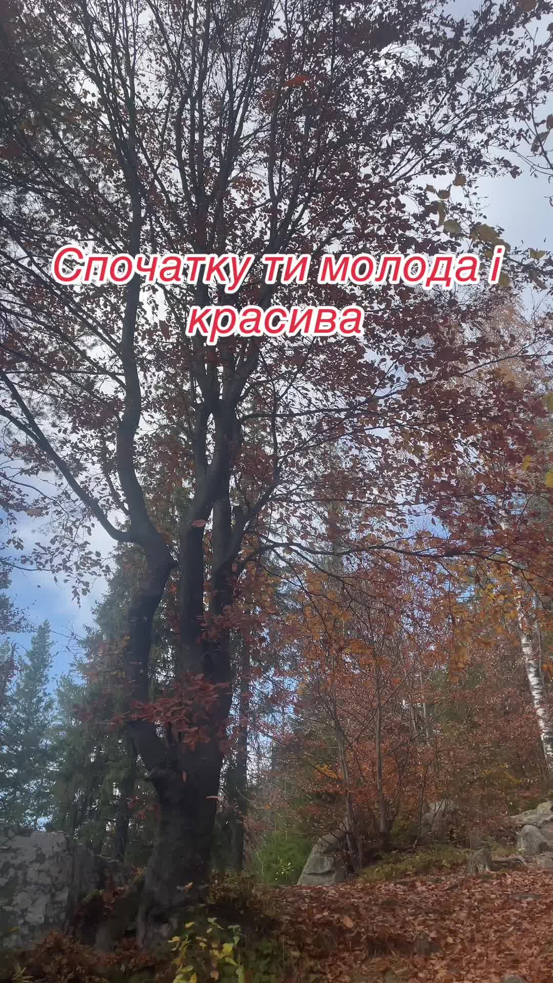 @Світлана