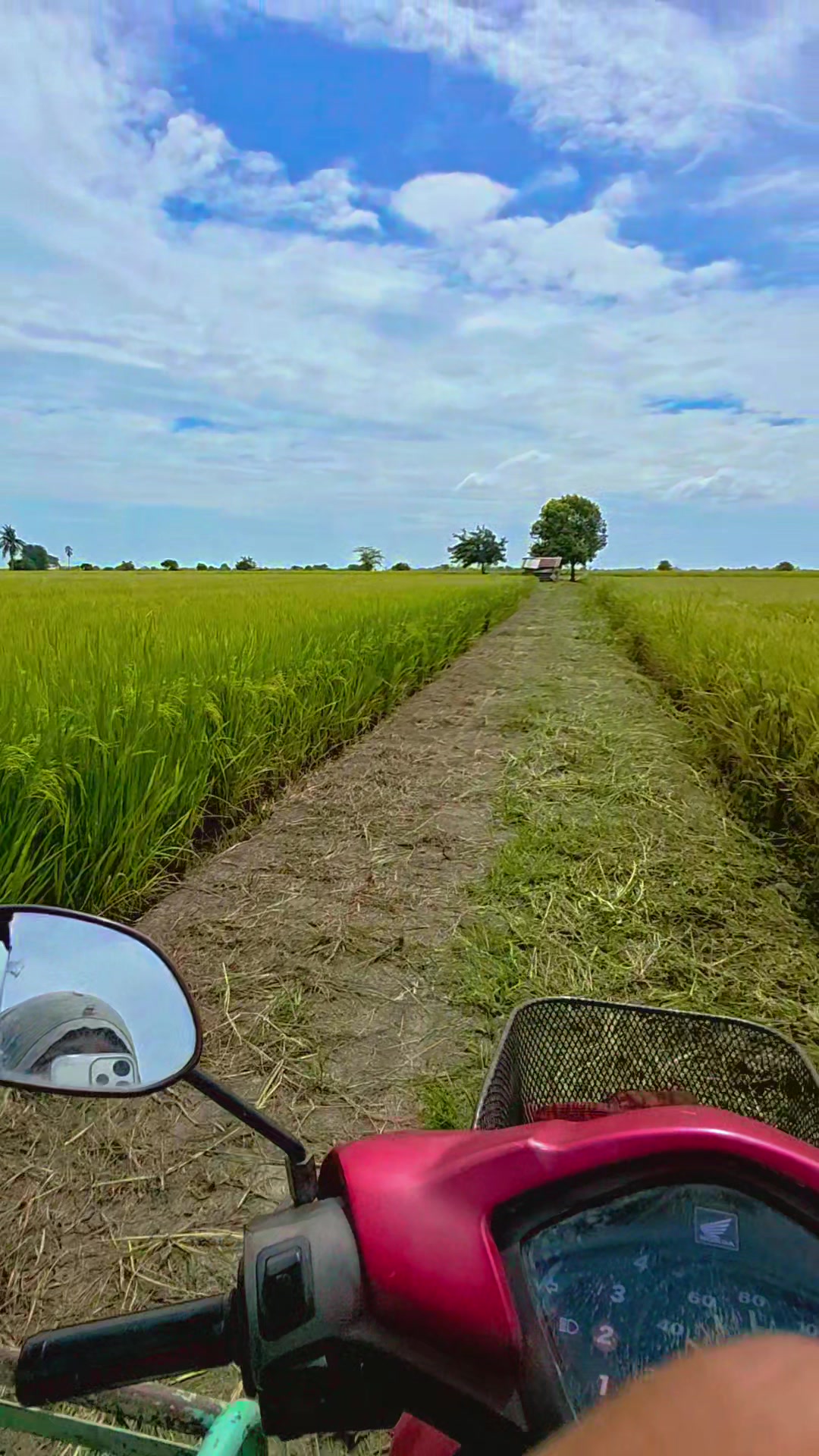 @ธัญมน🌾