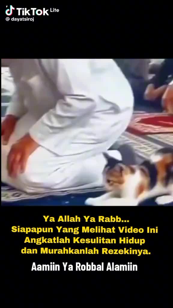 @Nina Muloh Sikar