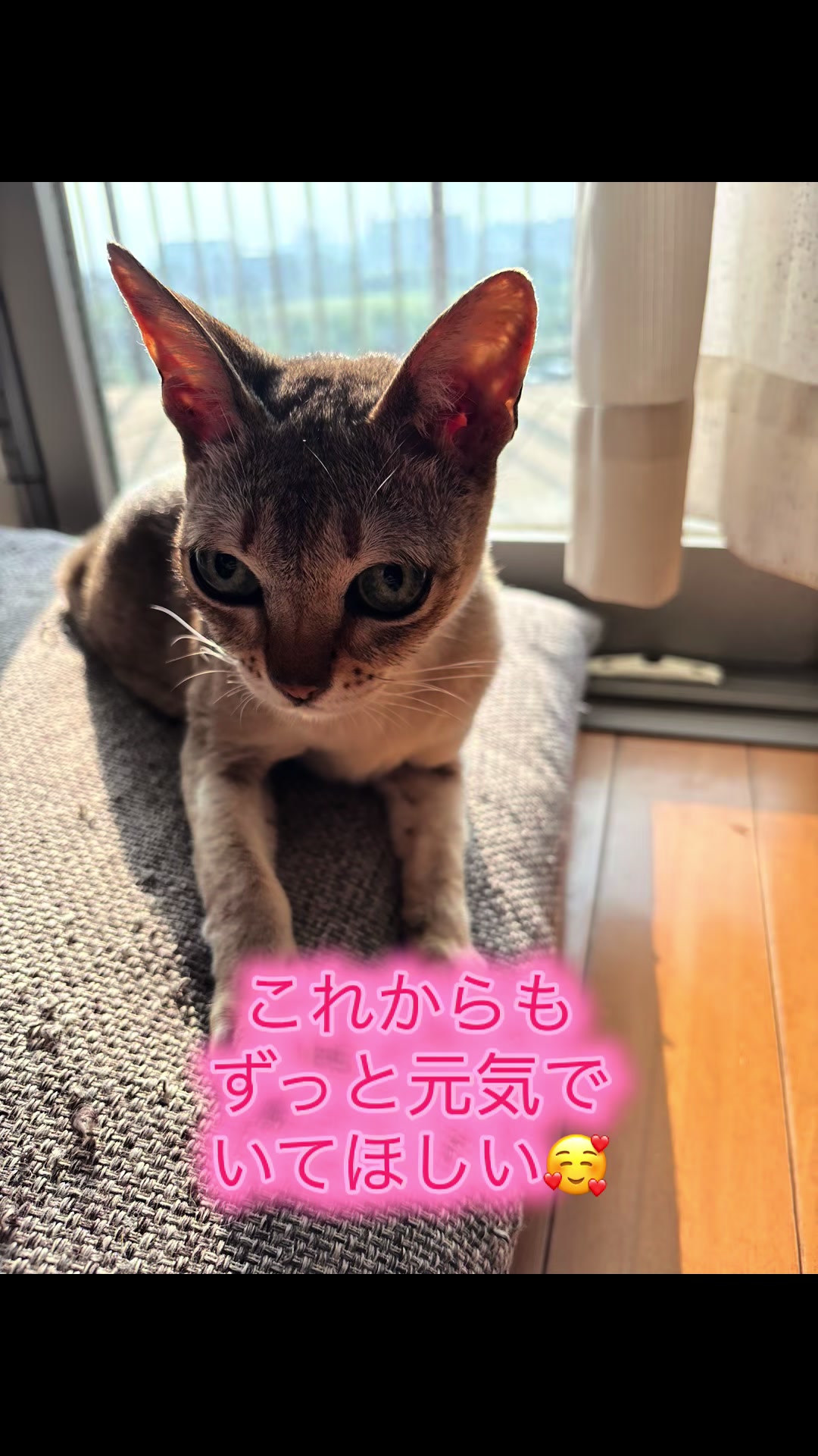 @Singapura_ran