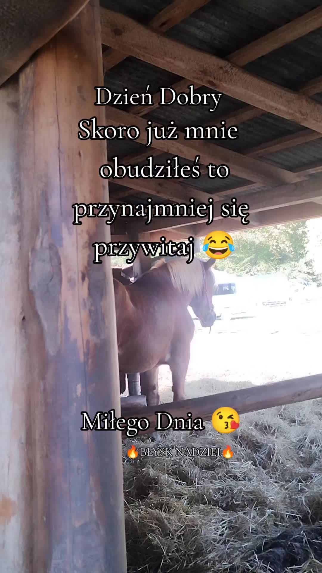 @🔥BŁYSK NADZIEI🔥
