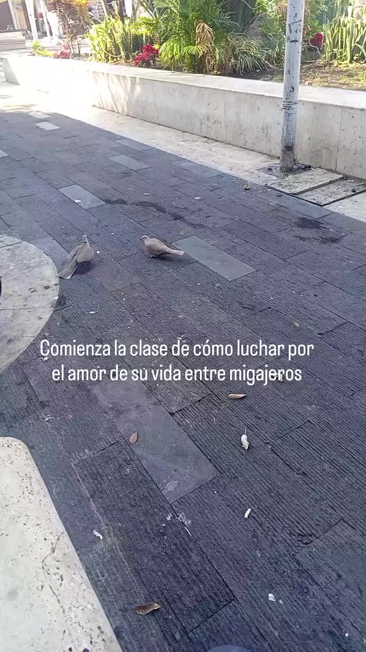 @victor Dominguez