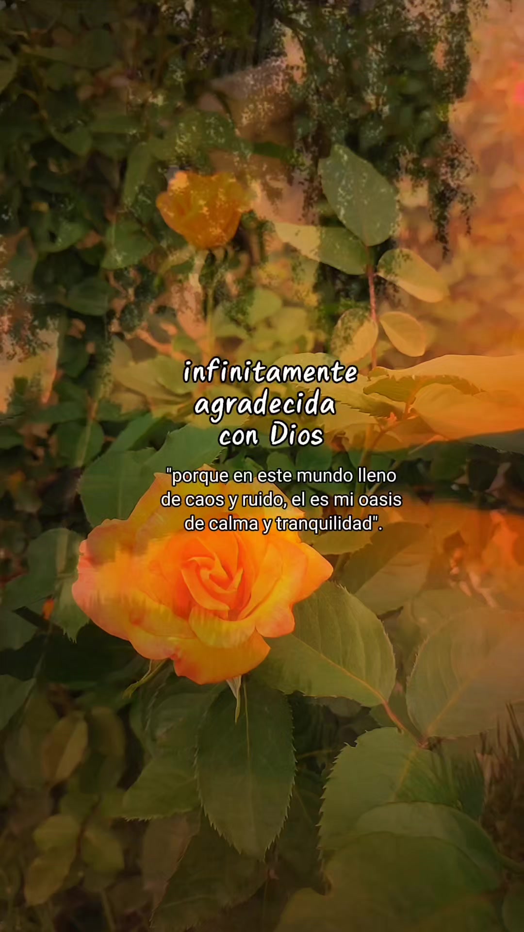 @Isis🌻