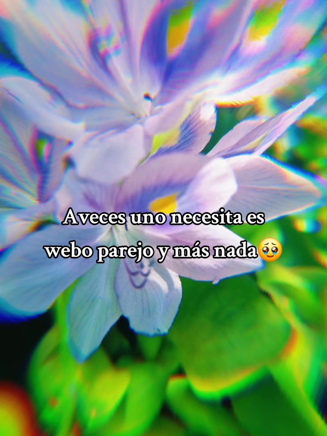 @DeyPatinez🦀✨️