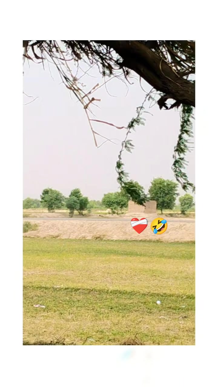 @nadeemnoor8625