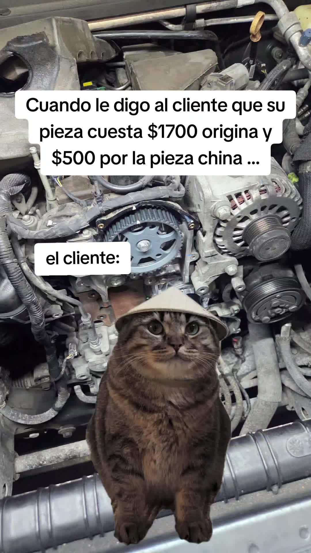 @Lobomecanico🐺🔧🇺🇸🇭🇳