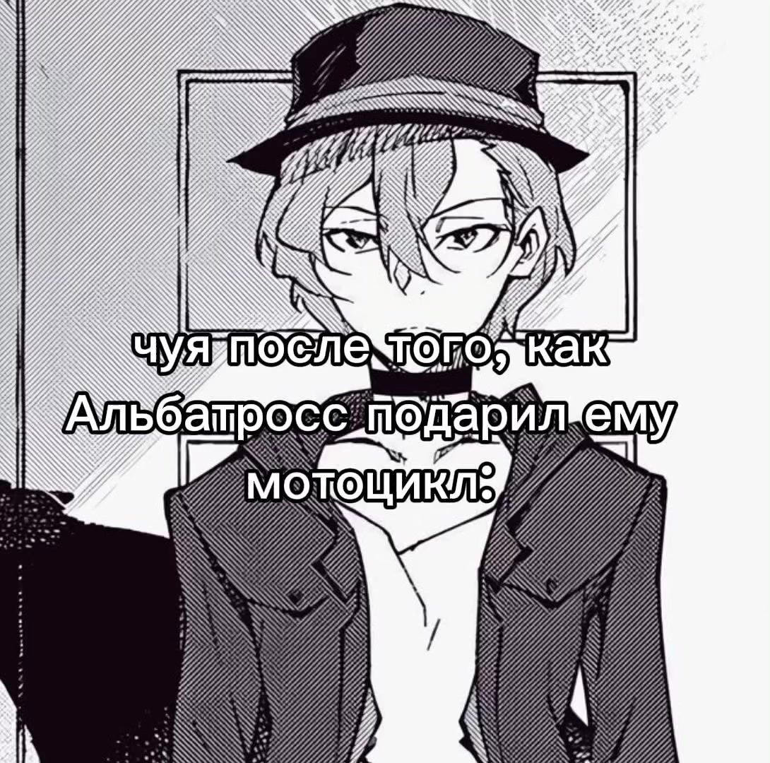 @amie