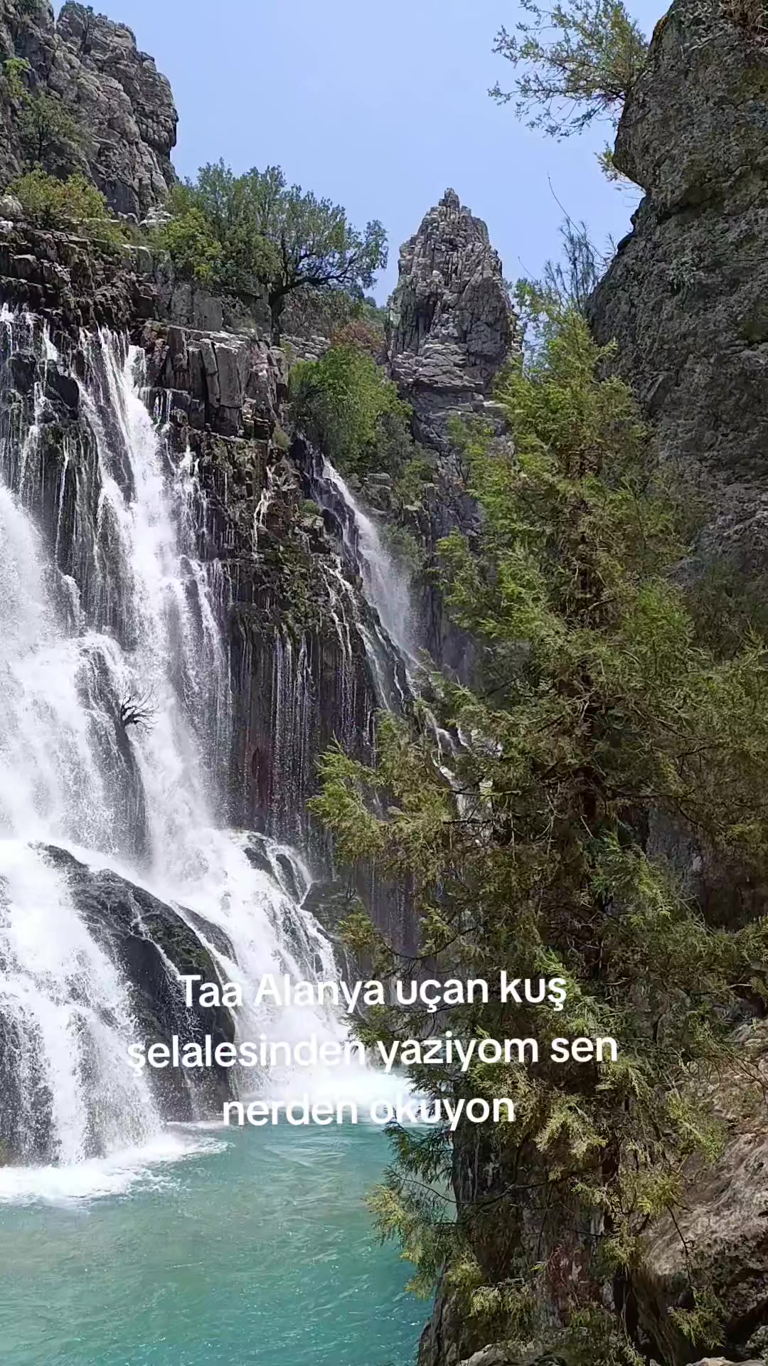 @0003