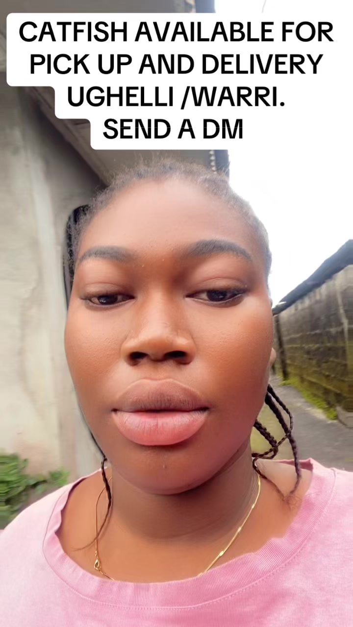 @bigpanda_2🌈