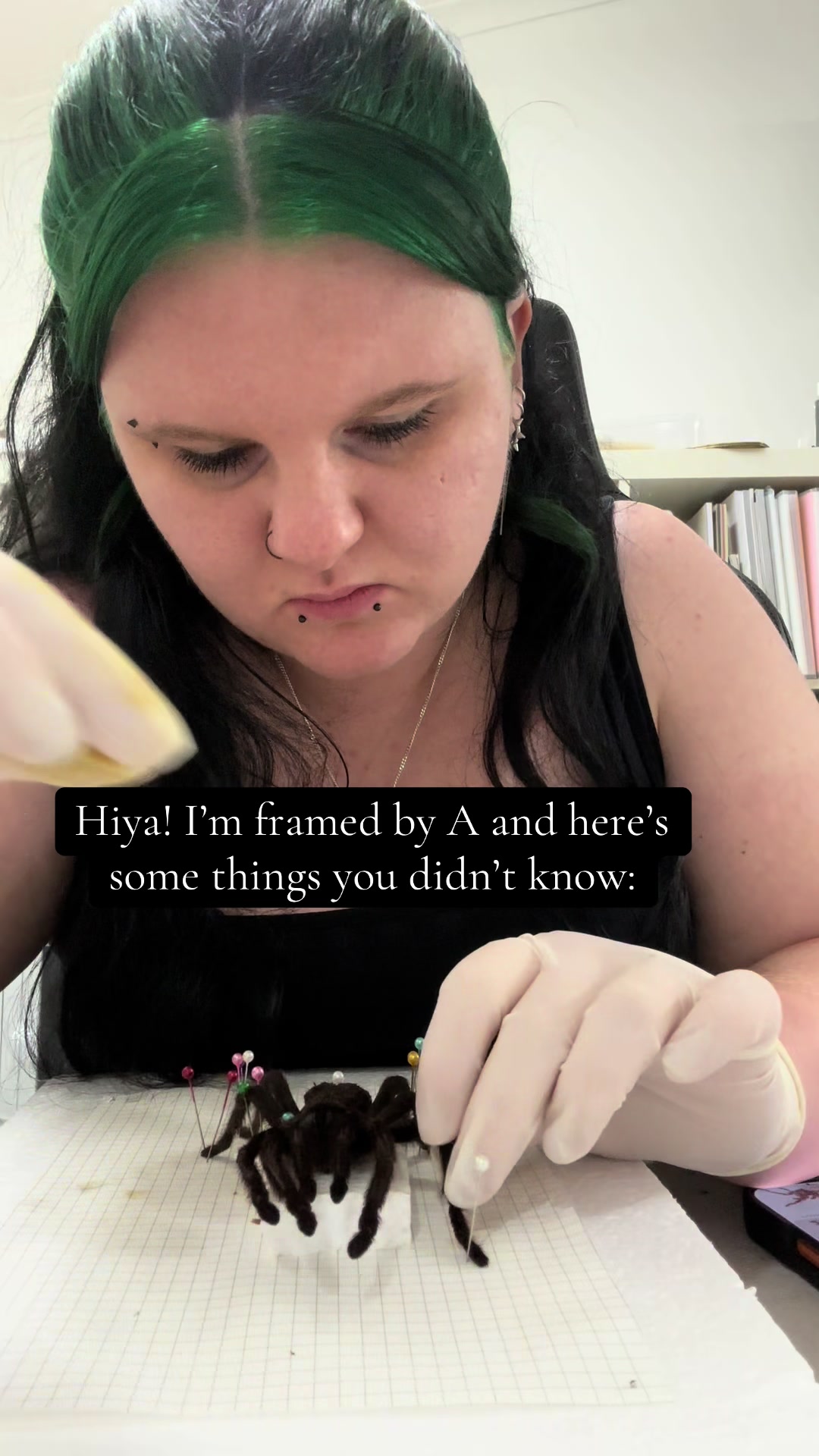 @framedbya