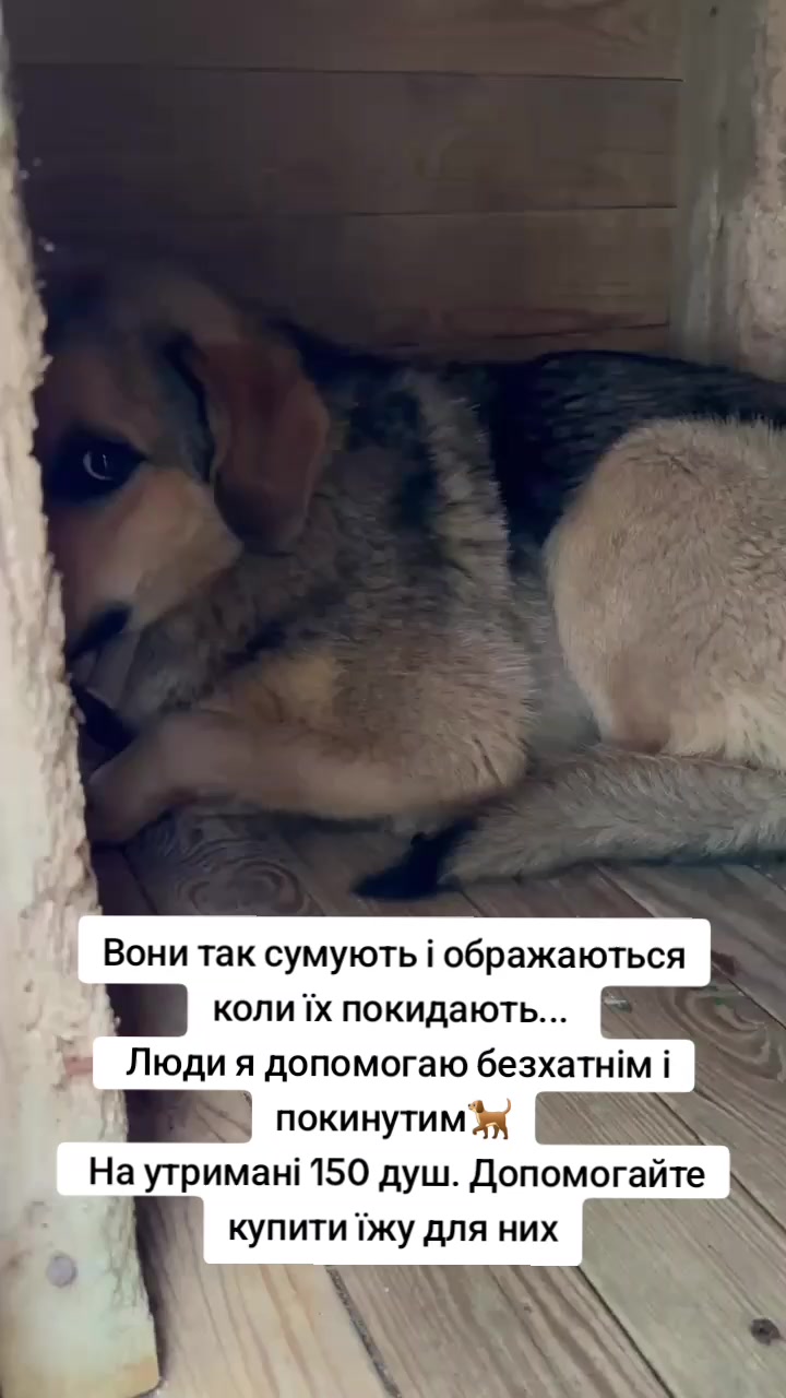 @tvarinkidobra