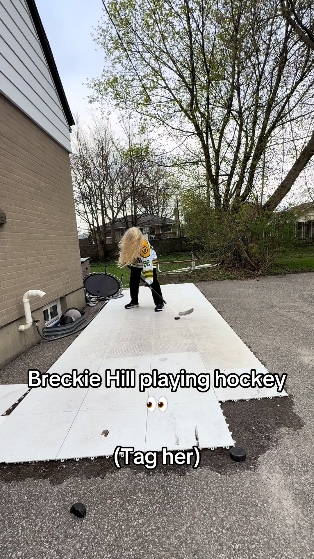 @Hockey Legend