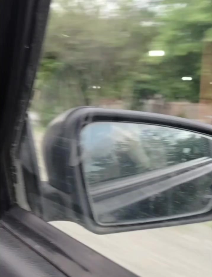 @𝓝𝓪𝓽𝓪_𝓔𝓱𝓶𝓮𝓭𝓸𝓿𝓪