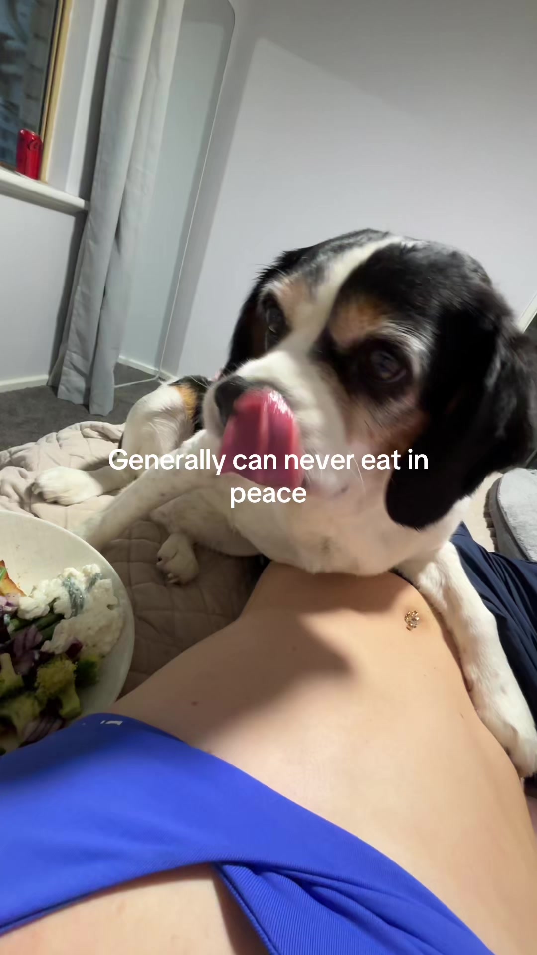 @shae