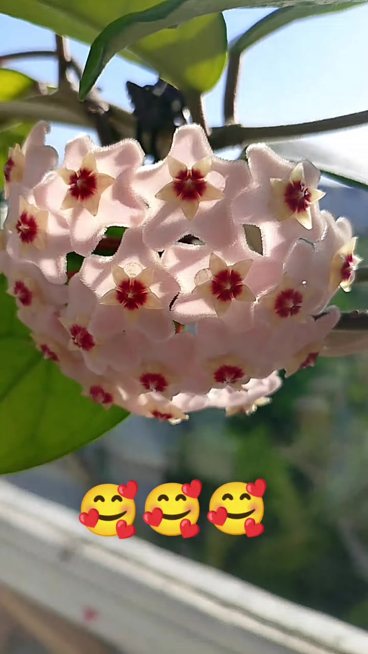 @Ksenia:💙🖤