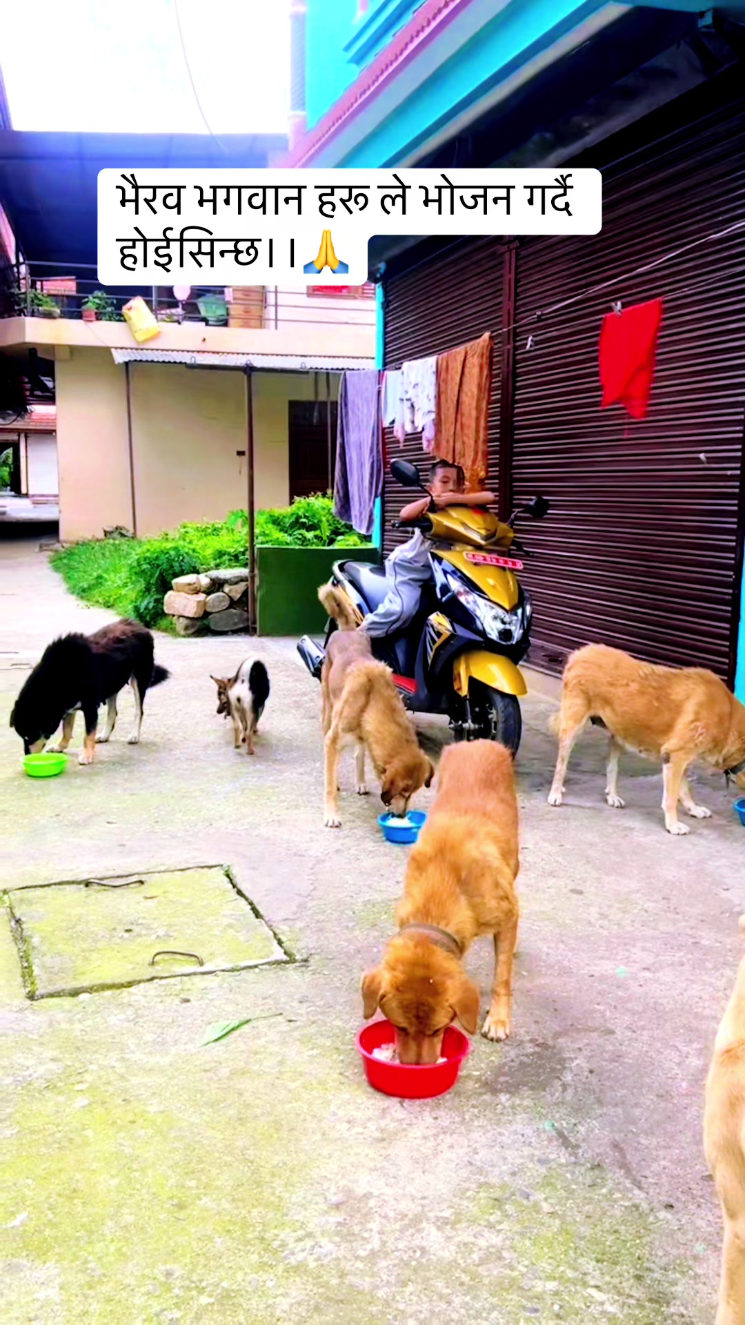 @🧿Mayara pukuli🐕🧿