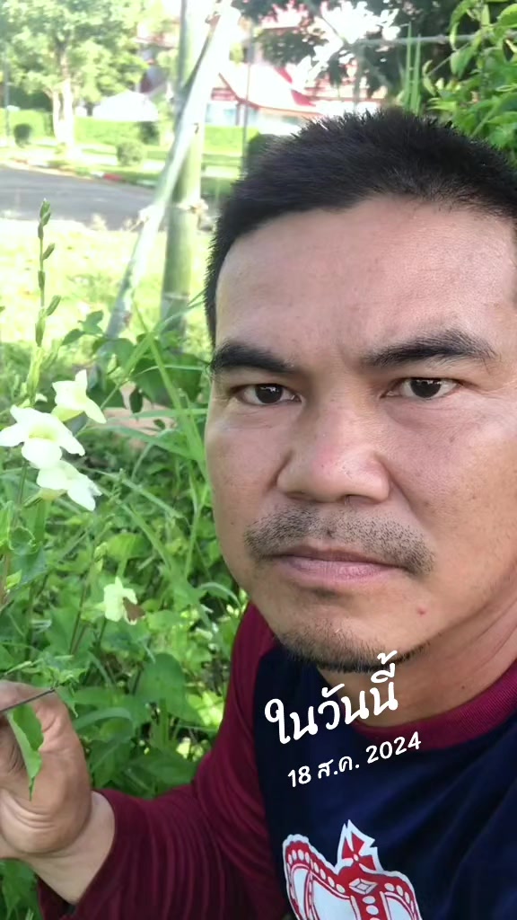 @Konloy