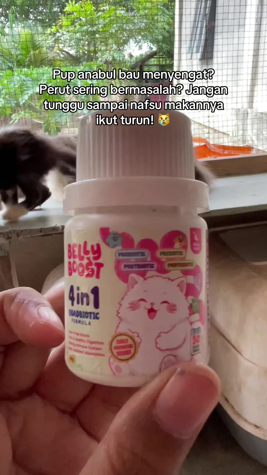 @Muti𐙚。