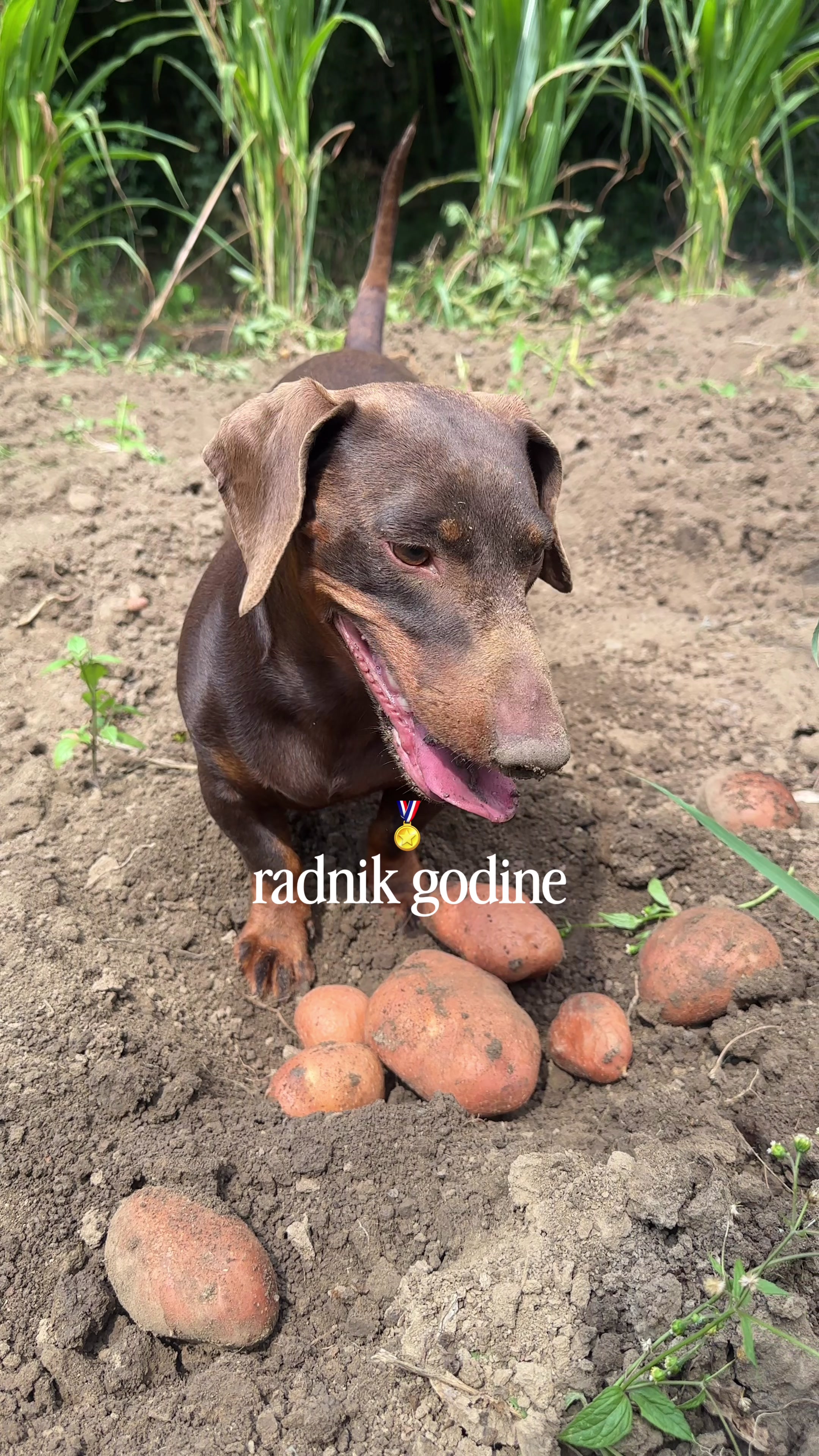 @biosskin