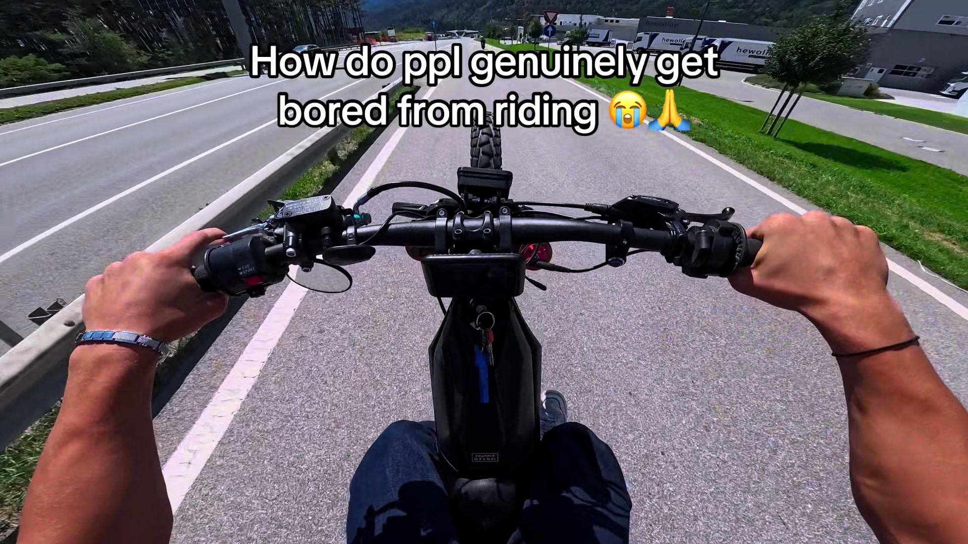 @MX4 Trex