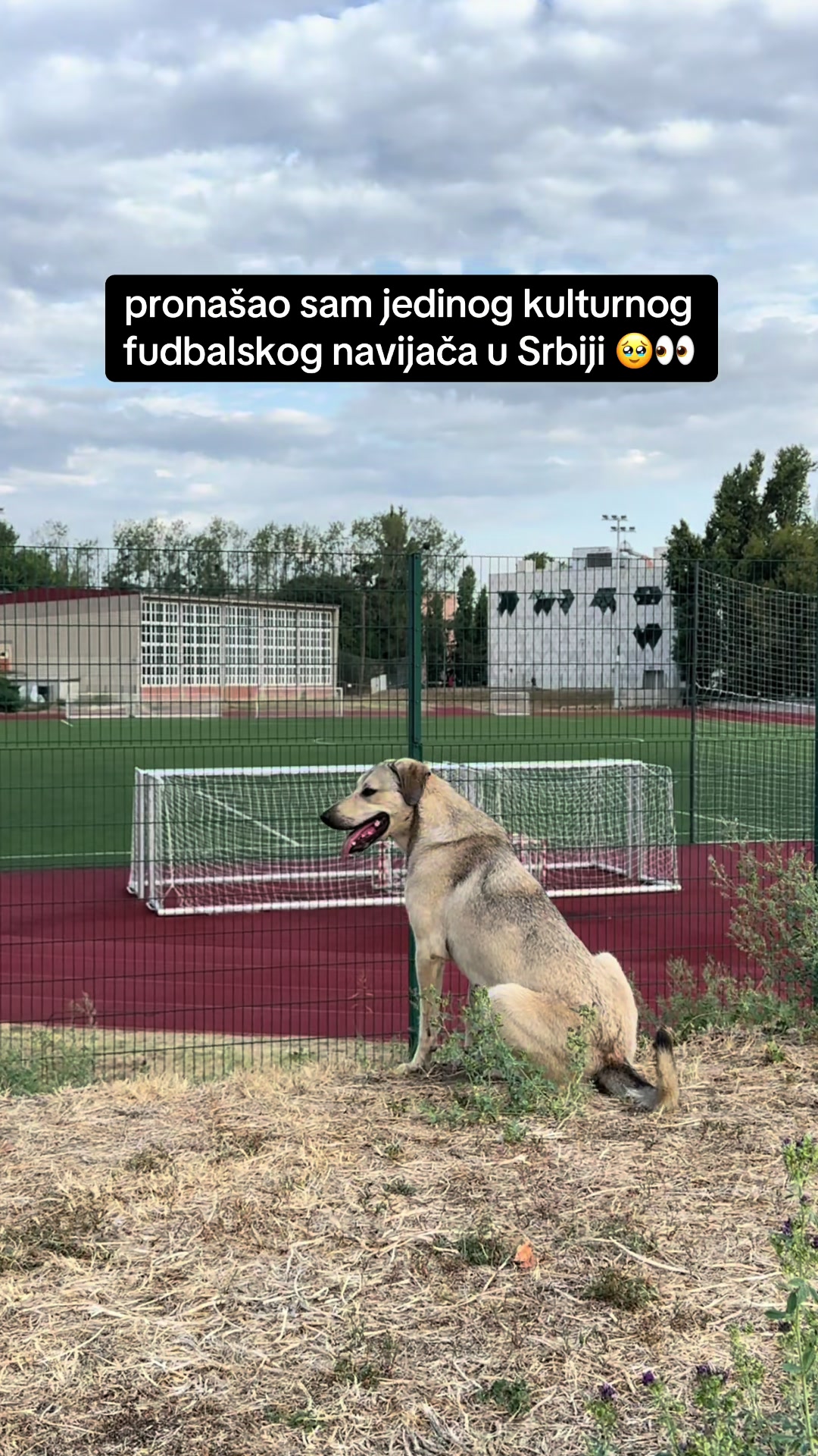 @SNΛJPERINJO