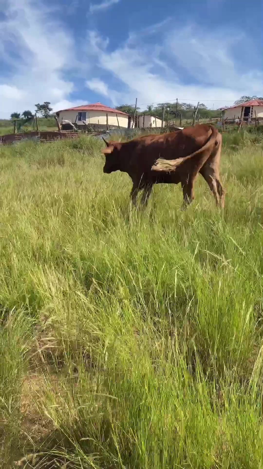 @MaGwala🇿🇦