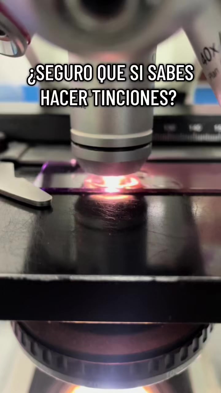 @ALab 🔬💉🩸