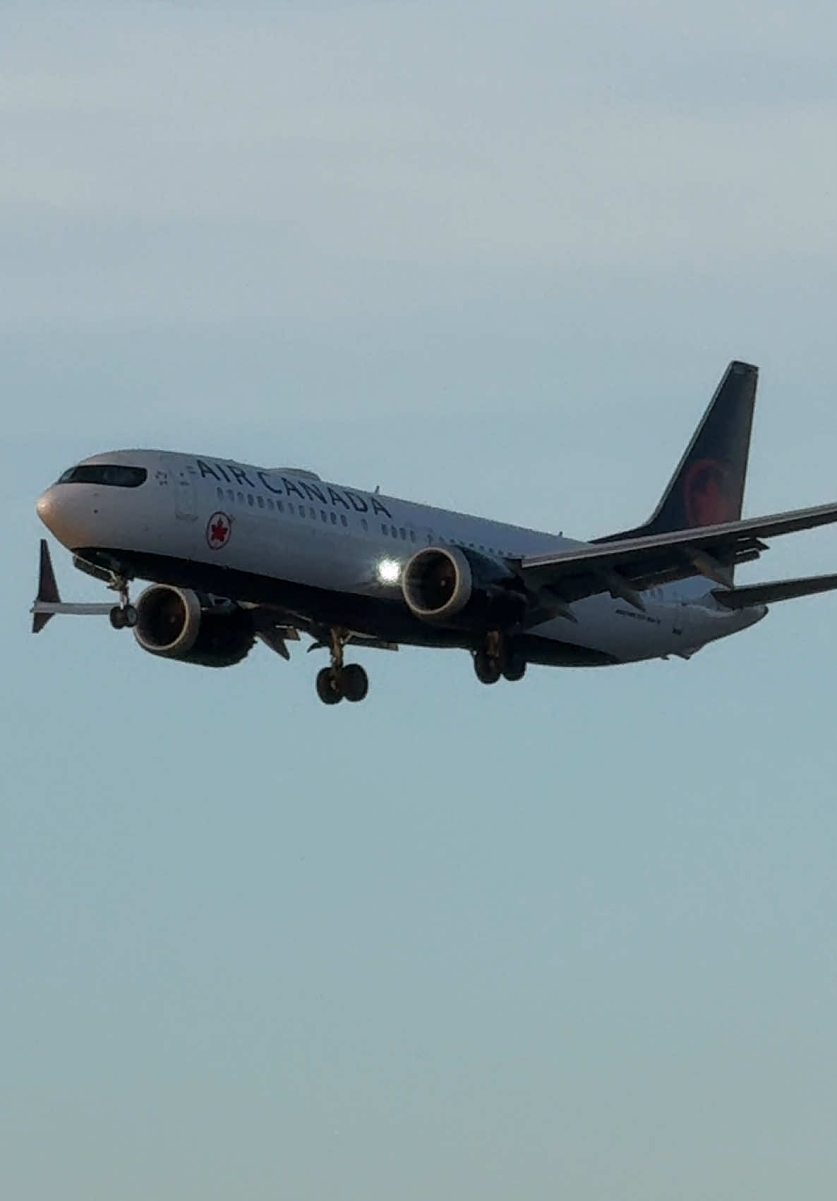 @Toronto Aviation