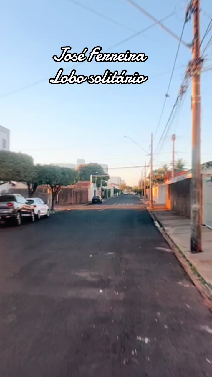 @joseferreiraferreira8