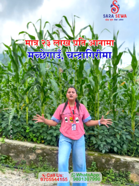 @Sara Sewa Kathmandu