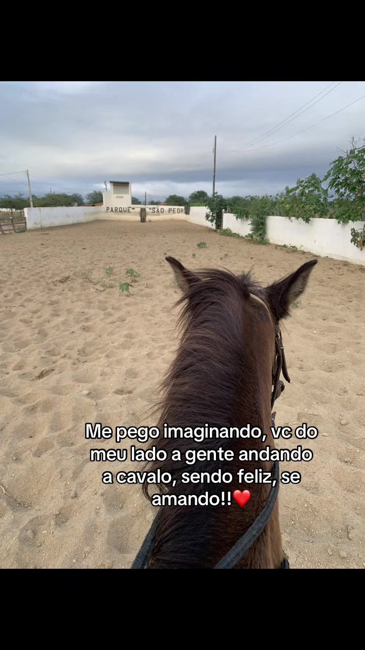 @Marcela Araujo