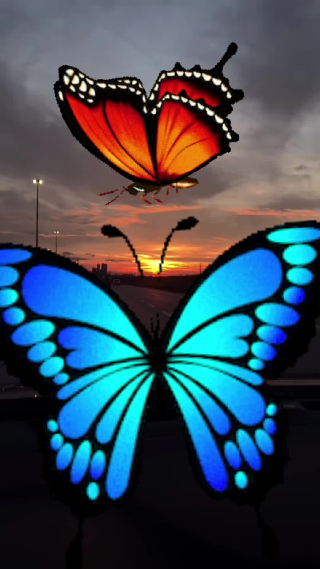 @🎗️CLARA{HERNANDEZ}🎗️💝💫